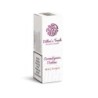 Liquid Dillon's Touch 10ml - Aromatic Raspberry 20mg | DoctorVape