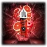 Koncentrat Jungle Hit - Red Fruits 10ml (120ml) | DoctorVape