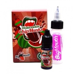 Arôme Big Mouth - Watermelon ChipMunks 10ml | DoctorVape