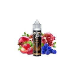 Premix Squid Juice 2 50/75ml - Master | DoctorVape