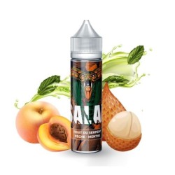 Premix Salak 50/75ml - Fruit du Serpent Pêche Menthe | DoctorVape