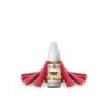 Liquid Elfbar Elfliq Salt 10ml - Rhubarb Snoow 20mg | DoctorVape