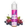 Longfill OhF! Fruits 12/60ml Forest Fruits | DoctorVape