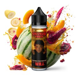 Strangers Vibe WILL Melon Prickly Pear Peach Banana Flavor 6/75ml | DoctorVape
