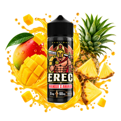 Premix XCalibur Erec 100/120ml Doctorvape