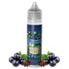 Longfill Franki Juice 10/60 - Blackcurrant Tunes | Doctorvape