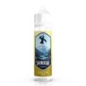 Longfill Janosik 10/60ml - Kaktus Cytryna | Doctorvape