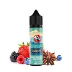 Wild Berries Premix by Zap Juice 50/60ml | DoctorVape