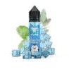 Longfill Penguin Ice 10/60 ml - Eucalyptus | Doctorvape
