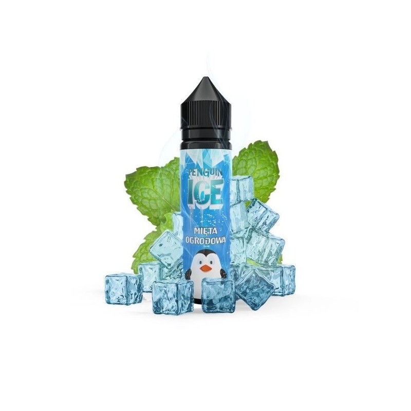 Longfill Penguin Ice 10/60 ml - Garden Mint | Doctorvape
