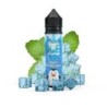 Longfill Penguin Ice 10/60 ml - Garden Mint | Doctorvape