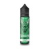 Longfill Dragon Fresh 9/60ml - Jabłko Aloes Menthol