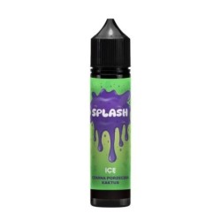 Longfill Splash 10/60ml - Czarna Porzeczka Kaktus