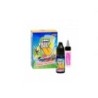 Big Mouth - Classic - Fruit Juice Concentrate 10ml | Doctorvape