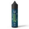 Longfill Panda Experiment Arctic 10/60 ml - Aloe Gooseberry | DoctorVape
