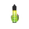 Longfill VBar VJuice 10/60ml - Cactus