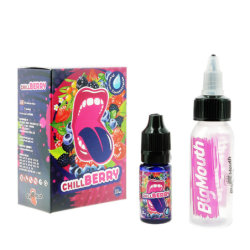Concentré Big Mouth - Chill Berry 10ml | DoctorVape