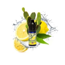 Big Mouth - Lemon Cactus Retro Juice Concentrate 10ml | Doctorvape