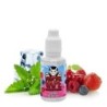 Vampire Vape 30ml - Berry Menthol | Doctorvape