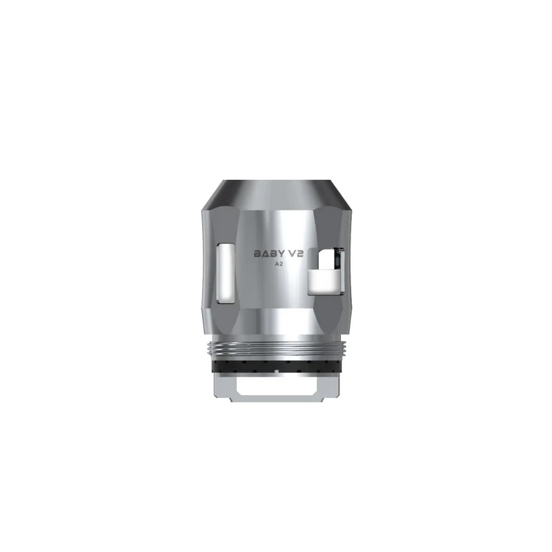 SMOK V2 A2 0.2 Ohm Stick V9 Max Kit, TFV8 Baby V2 | Doctorvape