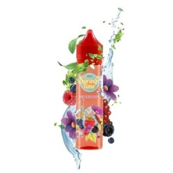 Longfill VAPY Spring Time 10/60ml Heisberry | DoctorVape