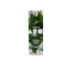Dillon's ARO Sweet Mint Flavor 10ml | DoctorVape